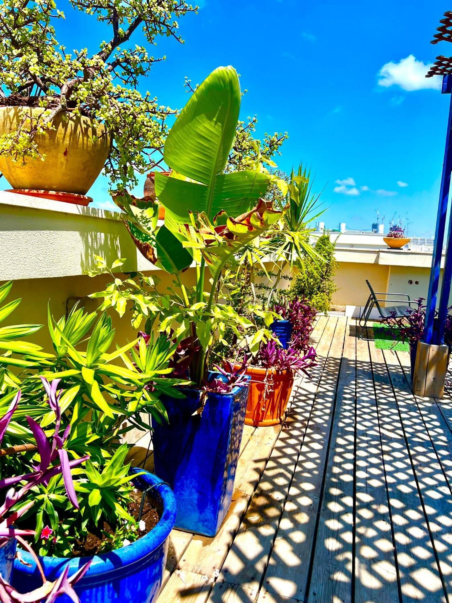 Beautiful 2 Bedrooms With Balcony Apartment Tel Aviv